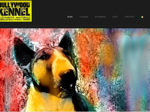 BULLYWOOD KENNEL