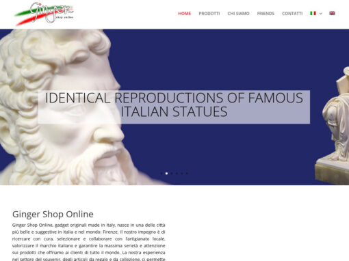 GINGER SHOP ONLINE