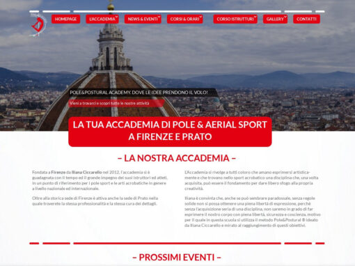 POLE AND POSTURAL ACADEMY