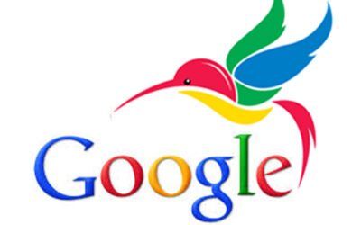Google Hummingbird, il nuovo strumento per sviluppare un web strategy efficace nel campo della ricettività a Firenze e in Toscana