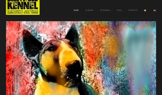 BULLYWOOD KENNEL