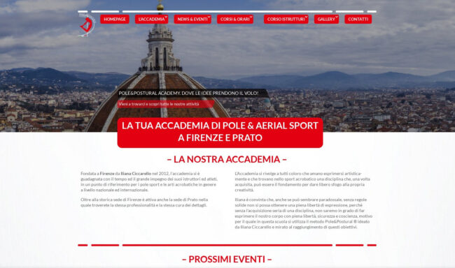 POLE AND POSTURAL ACADEMY