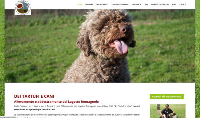 DEI TARTUFI E CANI ALLEVAMENTO LAGOTTI