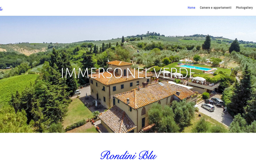 RONDINI BLU