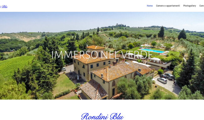RONDINI BLU