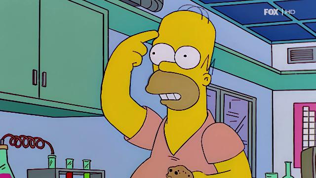 Stupidario web: le 10 domande più assurde nella realizzazione di un sito web